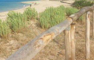 Mare Sole Vento 38 Punta Prosciutto - Foto 19