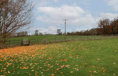 Ash Cottage - Foto 18