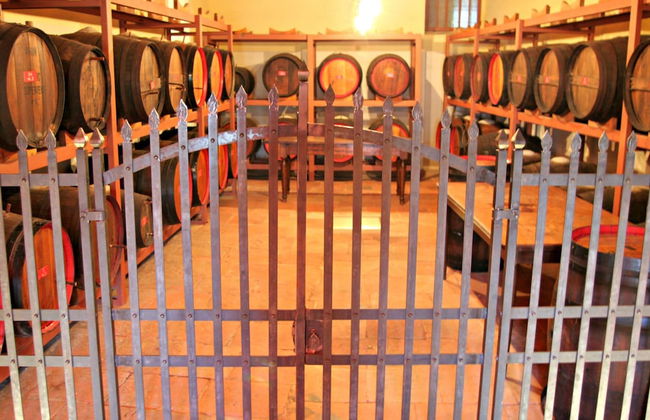 Castello di Volognano - Photo 67