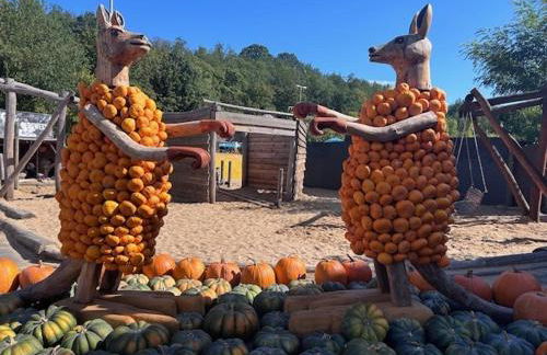 Ferienwohnung in Freital bei Dresden - Foto 19