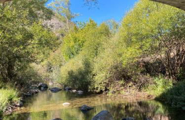 El Invernal de Picos - Photo 11