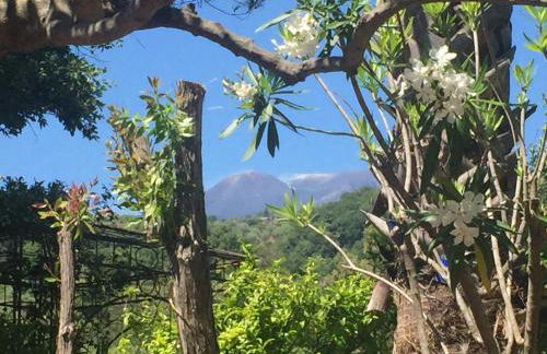 Aprisa apartment - Foto 37