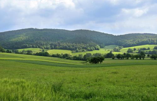 Apartment in Armsfeld With Pool - Foto 49