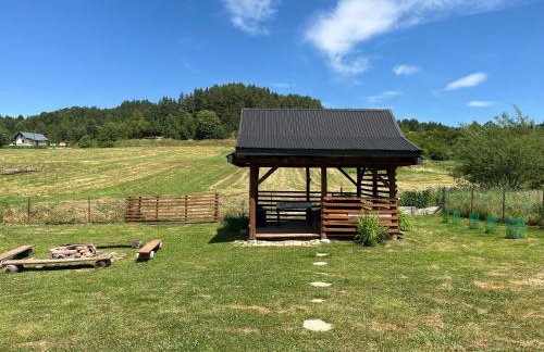Domek u Gołąbków Bieszczady - Foto 35