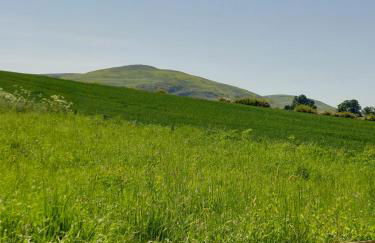 The Humble Hut - Photo 52