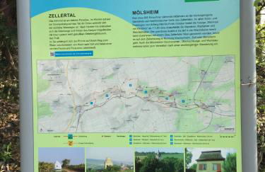 Alte Schule Wachenheim im Zellertal - Foto 21