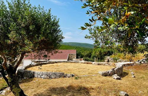 Casa da Curva - Foto 58