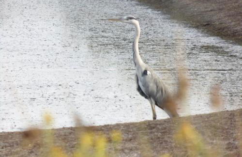 Porta dei Mari - Foto 54