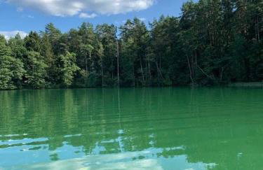 Między Brzozami - Foto 26