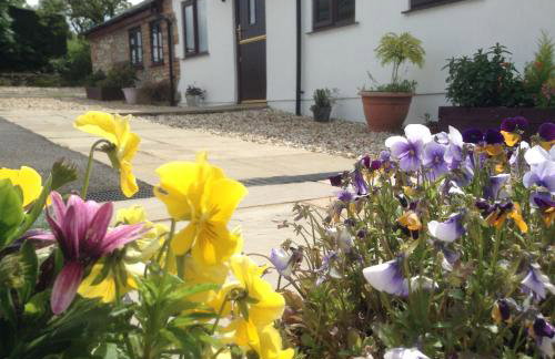 Glan Llyn Farm House - Foto 30