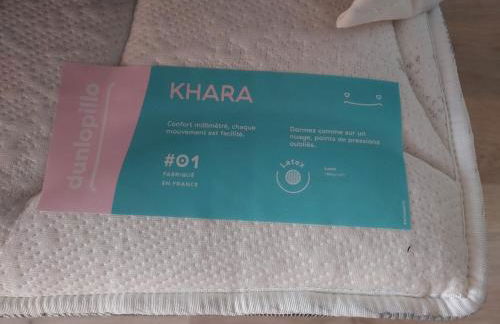 3 Lys Orleans Downtown, free secure parking - Foto 20