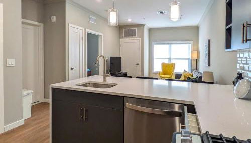 229 Brand New 1 Bedroom 1 Bath 1 Kitchen 1 Liv - Foto 5