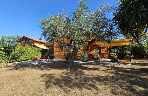 Ktirakia Studios - Foto 4