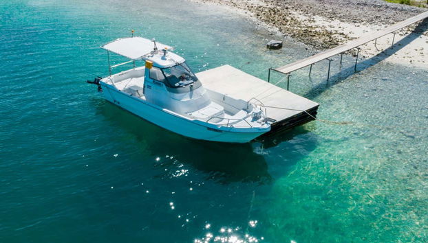 Barco para la actividad