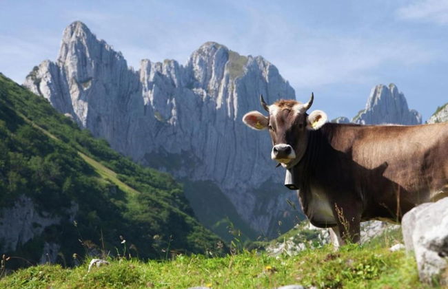 Glacier Views & Ski Trails - Foto 21