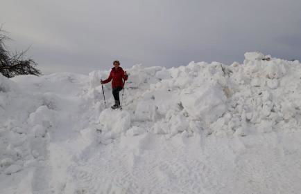 Ferienhof Naderhirn - Bauernhof - Foto 68