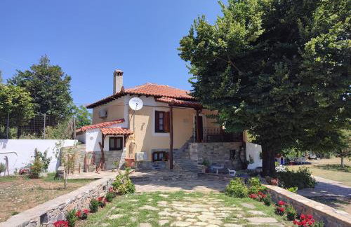 Harikleia & Maria Kefala's Land - Foto 1