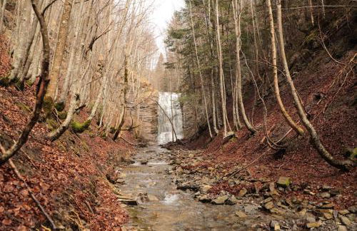 Altxabi Apartamento Rural - Foto 35