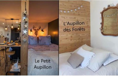 Le Petit Aupillon - L'Aupillon des Forêts - 2 studios cocooning aux Orres - Photo 1