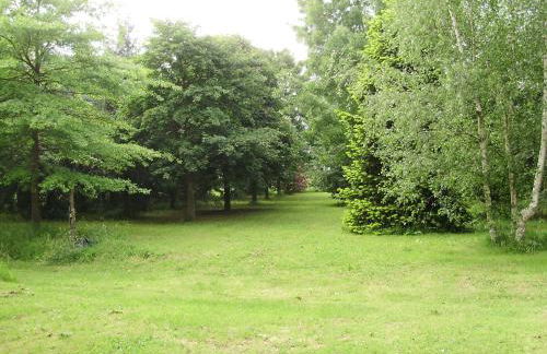 Tenuta Montelaura - Foto 52