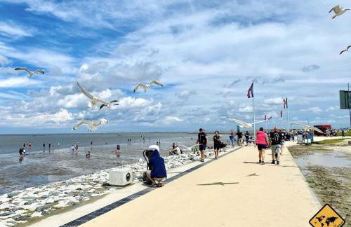 Ferienwohnung Feldblick - Foto 8