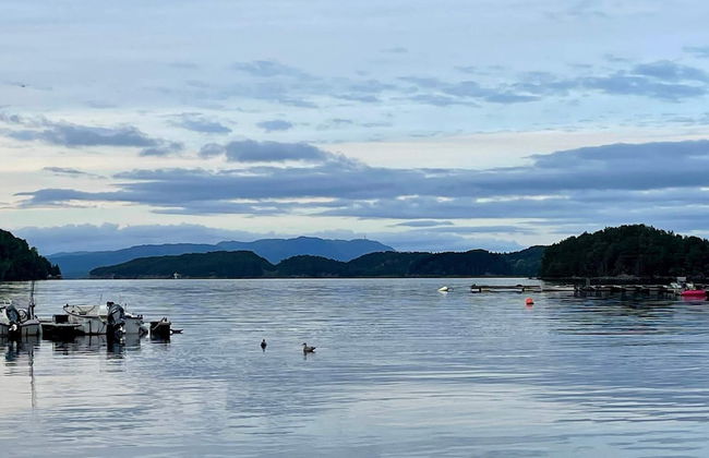 10 Person Holiday Home in Auklandshamn - Foto 27