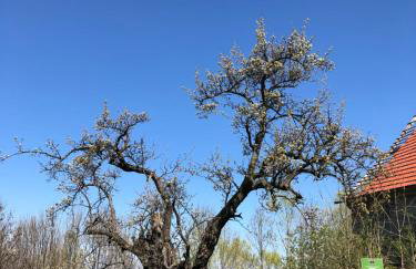 Grudza83 Bikepoint - Foto 15