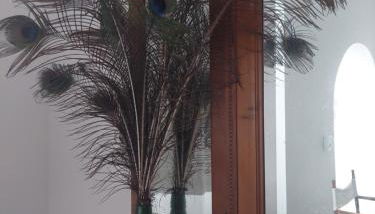 GALLE - Suite dos Infantes - Foto 3