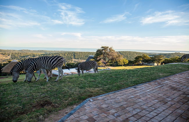 JBay Zebra Lodge - Photo 76
