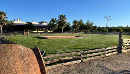 Finca Fuente Magan - Foto 4