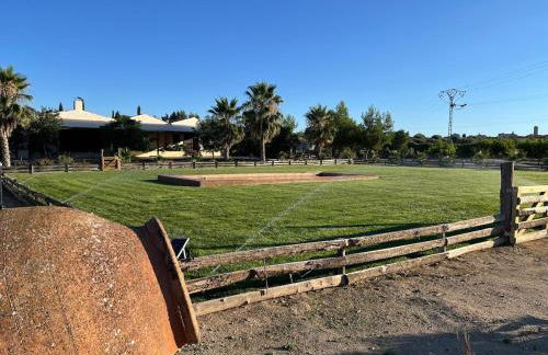 Finca Fuente Magan - Foto 4