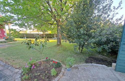 Casa Olga - Photo 22
