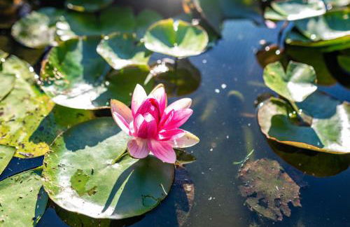 Hügelblick Oase - Foto 35