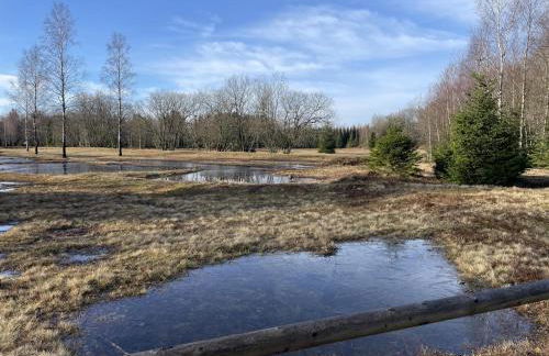 Ferienwohnung An den Galgenteichen - Foto 14