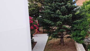 Cukar Apartment Gajac - Foto 3