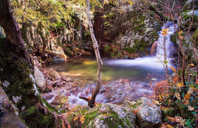 Fonte D Rosa - Belmonte - Foto 11