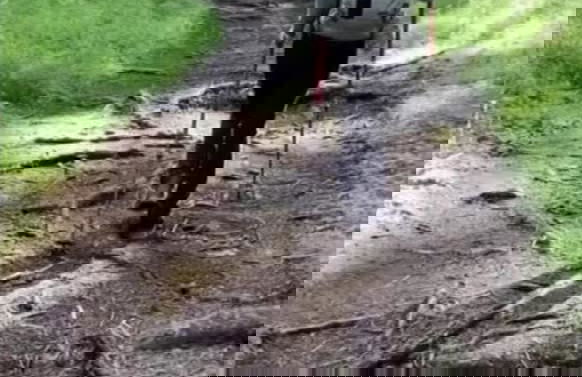 Casa di Pino EcoLodge Hotel - Photo 59