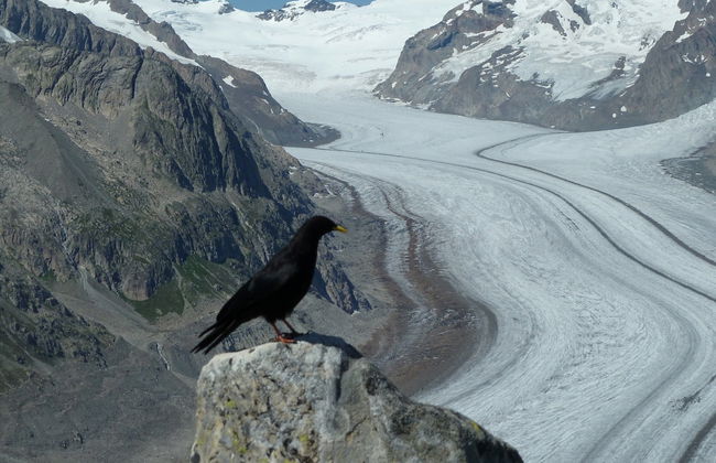 Attractive Chalet in Fiesch-wiler With Views - Foto 27