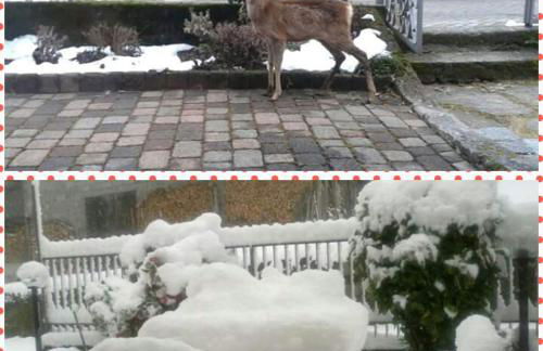 Agriturismo Ribuntà - Foto 53