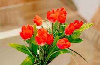 Best Villas - Park Ofir - Foto 86