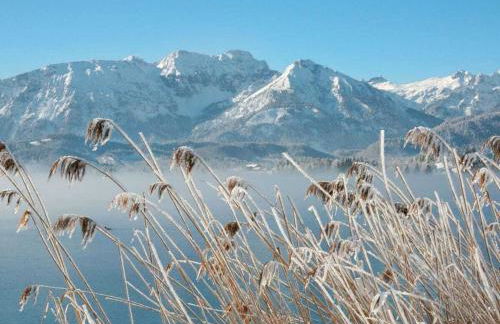 at the Seehotel Hartung - Foto 35