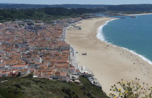 Casa Botanica - Foto 46