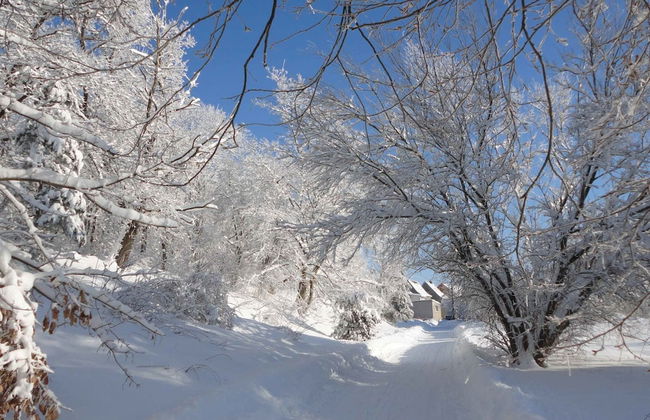 Hill-view Holiday Home in Dankerode Near Lake and Hiking - Foto 39