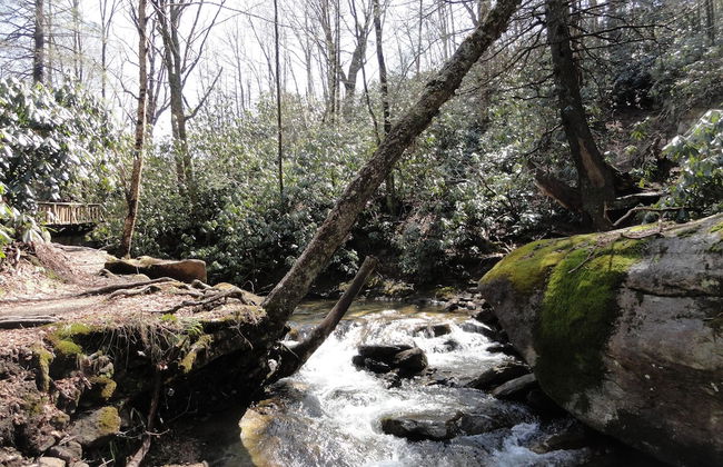 VCI - Elderberry Overlook - Foto 21