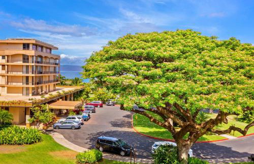 Maui Kaanapali Villas A412 - Foto 8