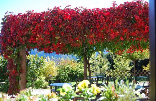 Dryades Guesthouse - Foto 49