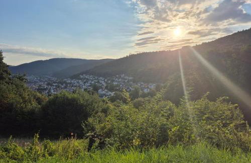 Ferienwohnung Am Schiff in Eberbach - Foto 31