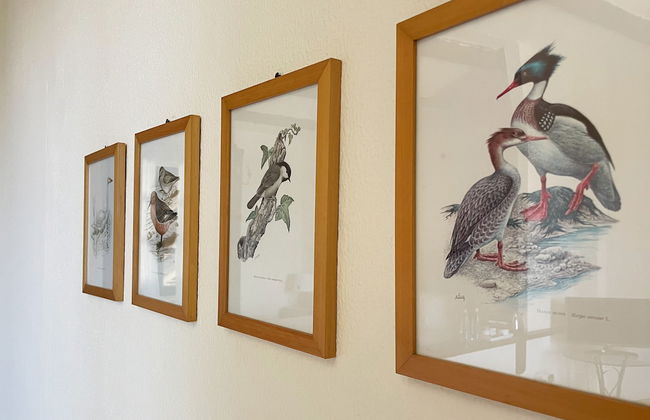 Agriturismo La Margherita - Golf Girasoli - Photo 15