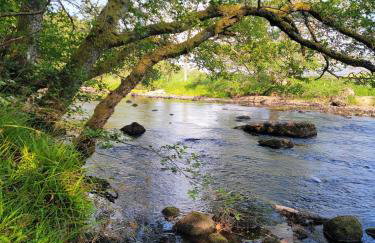 'Wee Smiddy' Shepherd's Hut - Sauna - Yoga - Wild Swim - Foto 22