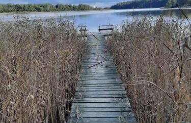 Lawendowa Malanówka - domek nad jeziorem - Foto 22